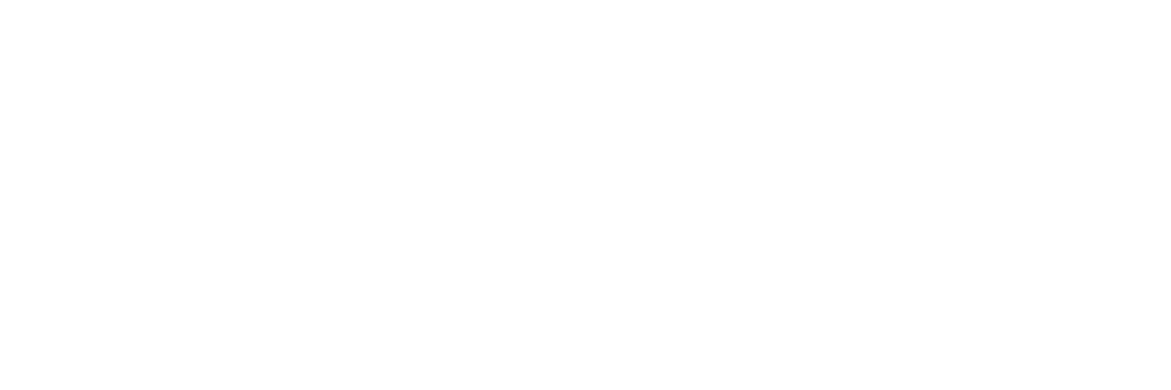 AVES Logo